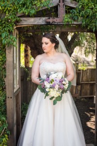 Wedding Photo