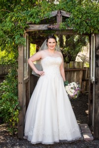 Wedding Photo