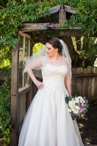 Wedding Photo