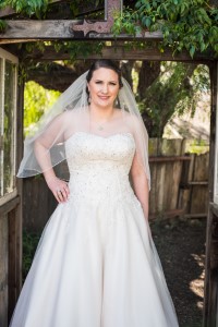 Wedding Photo