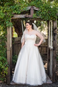 Wedding Photo