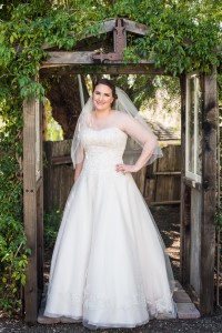 Wedding Photo