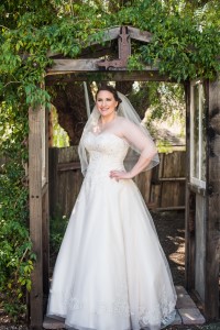 Wedding Photo