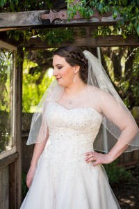 Wedding Photo