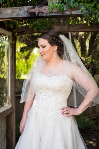 Wedding Photo