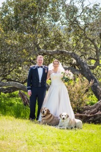 Wedding Photo