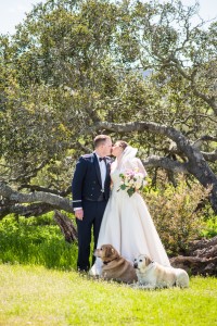 Wedding Photo