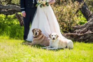 Wedding Photo