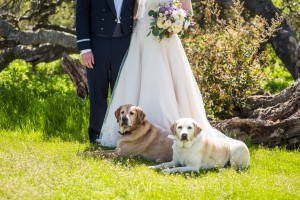 Wedding Photo