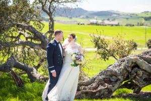 Wedding Photo