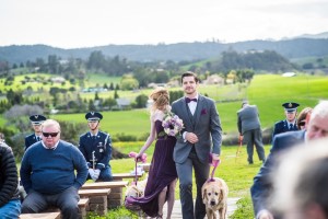 Wedding Photo