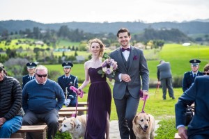 Wedding Photo