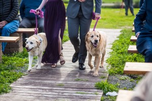 Wedding Photo