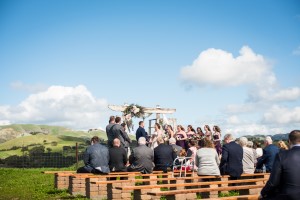 Wedding Photo