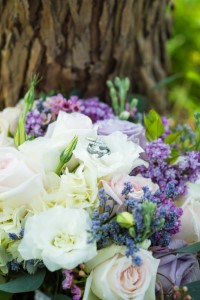 Wedding Photo