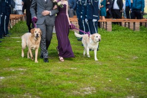 Wedding Photo