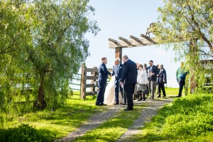 Wedding Photo