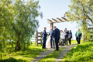 Wedding Photo