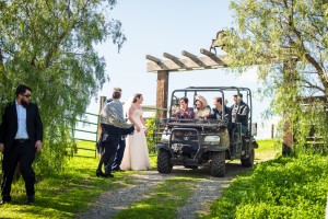 Wedding Photo