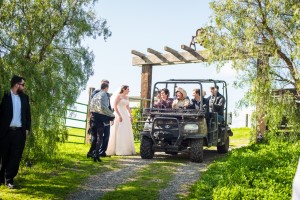 Wedding Photo