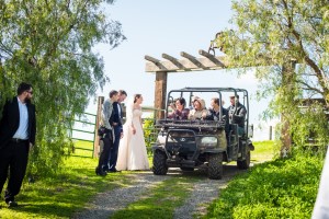 Wedding Photo