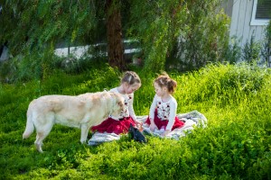 Wedding Photo