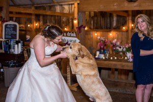 Wedding Photo