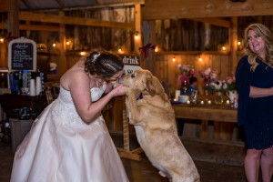 Wedding Photo