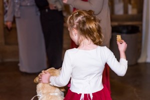 Wedding Photo