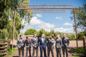 Wedding Photo