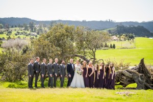 Wedding Photo
