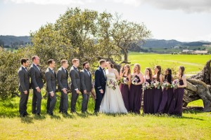 Wedding Photo