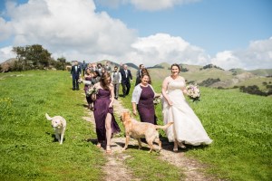Wedding Photo